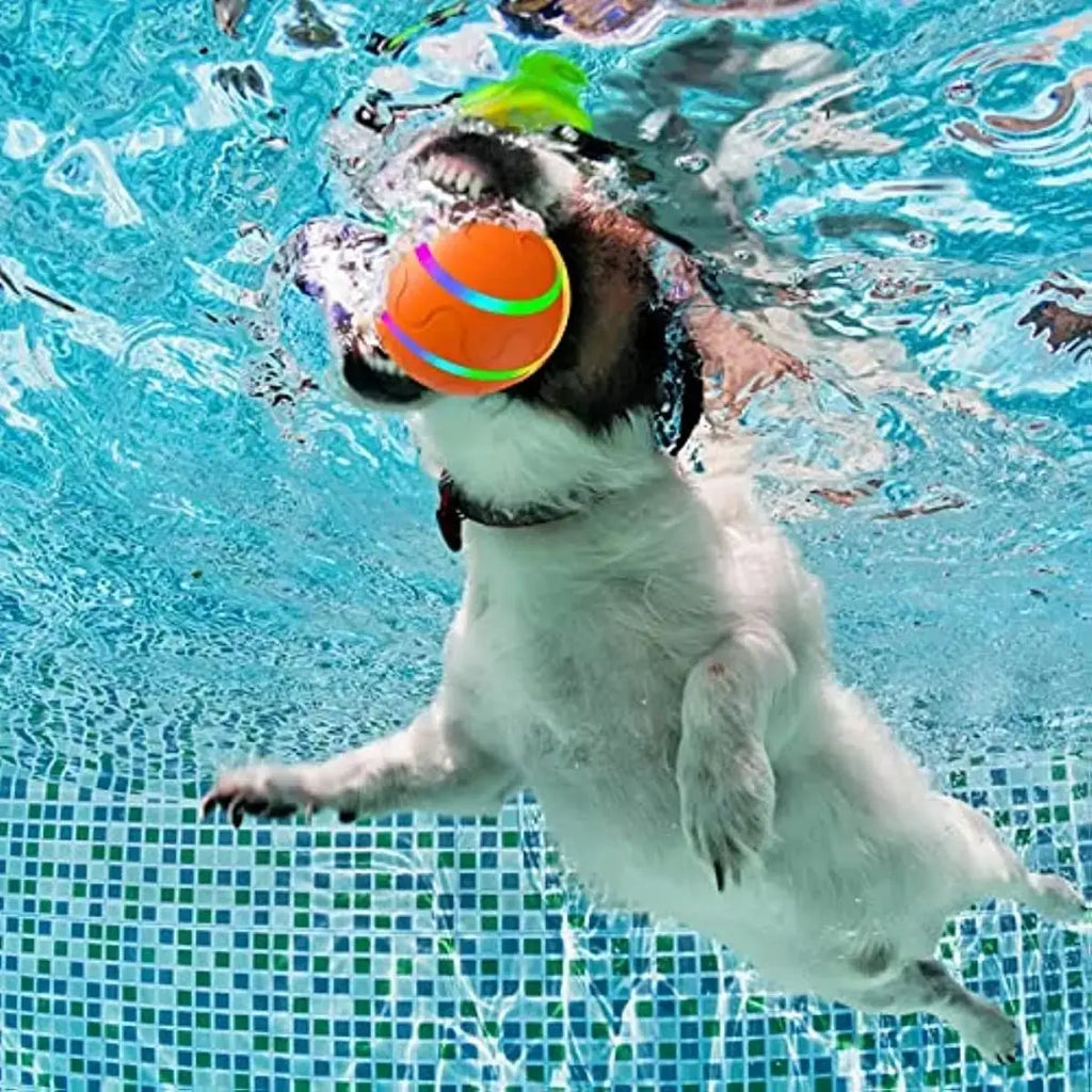 bit 0 bling pet products