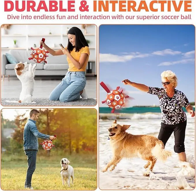 bit 0 bling pet products