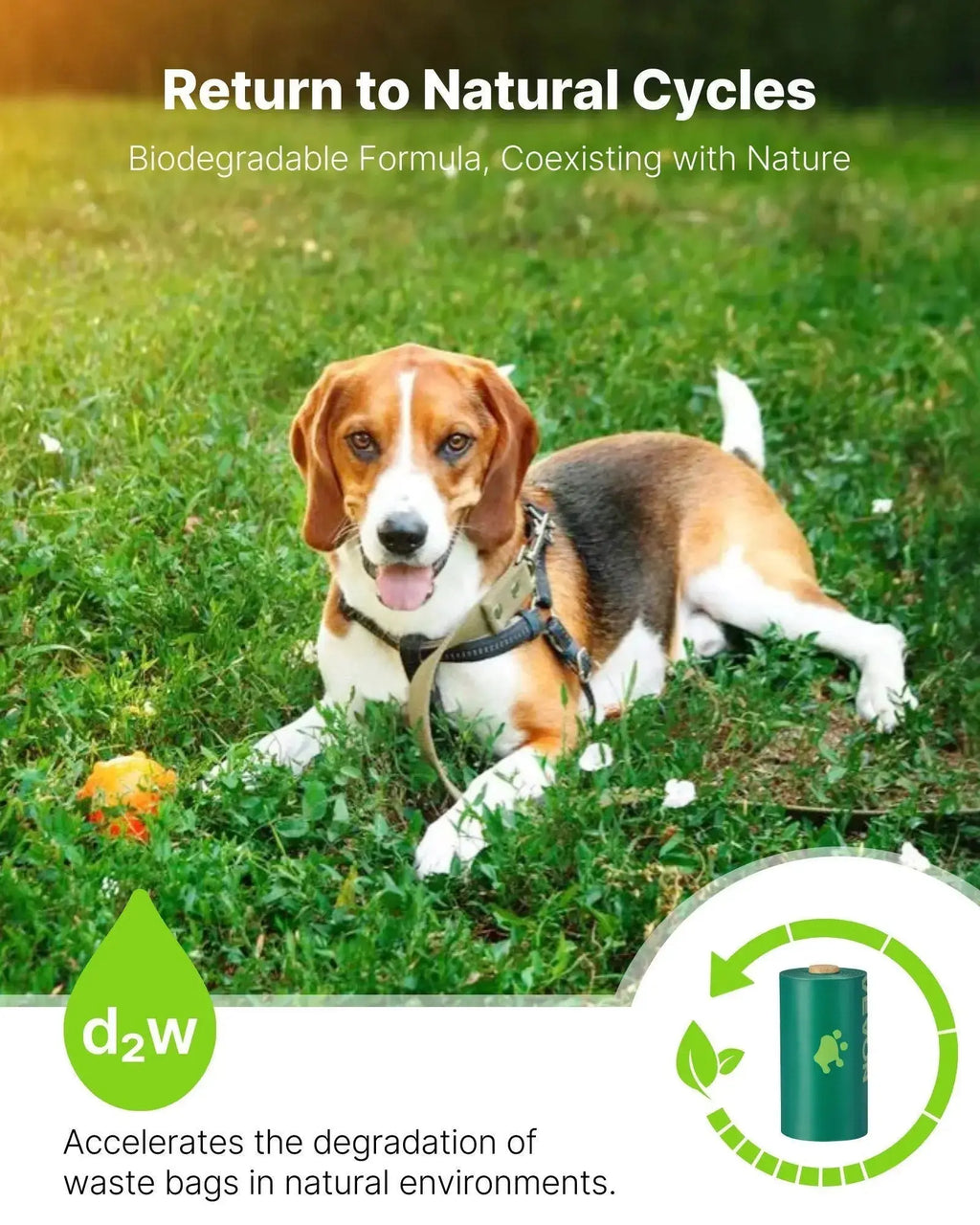 bit 0 bling pet products