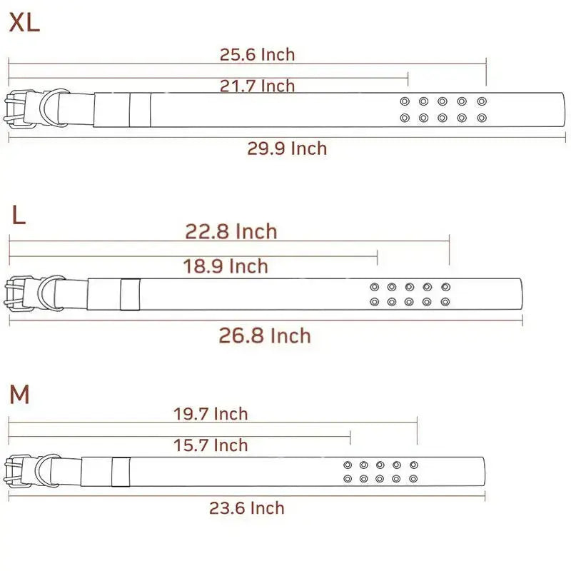 bit 0 bling pet products