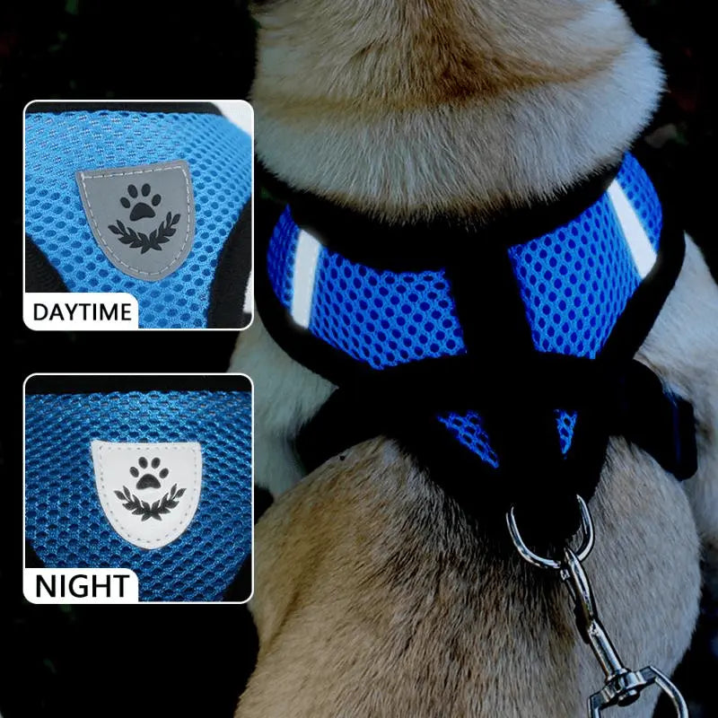 bit 0 bling pet products