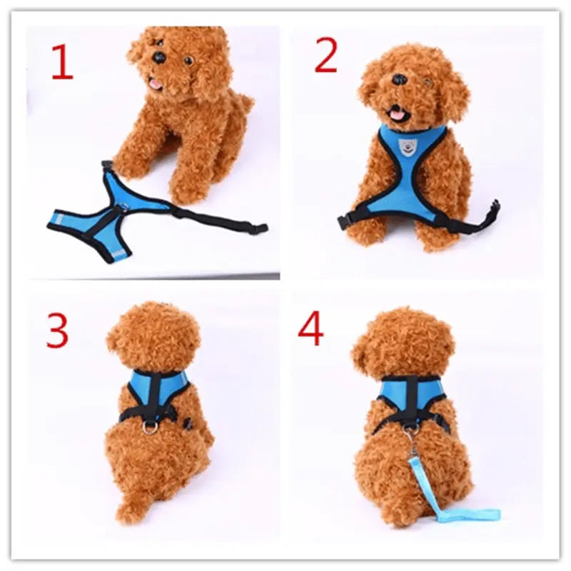 bit 0 bling pet products