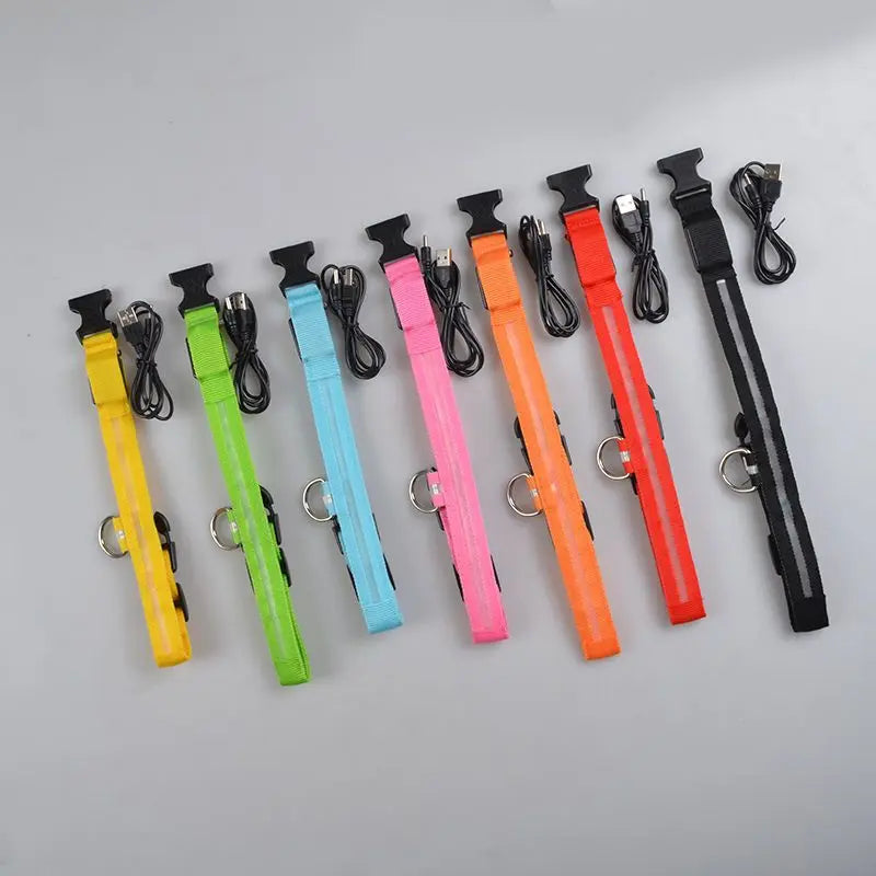 bit 0 bling pet products