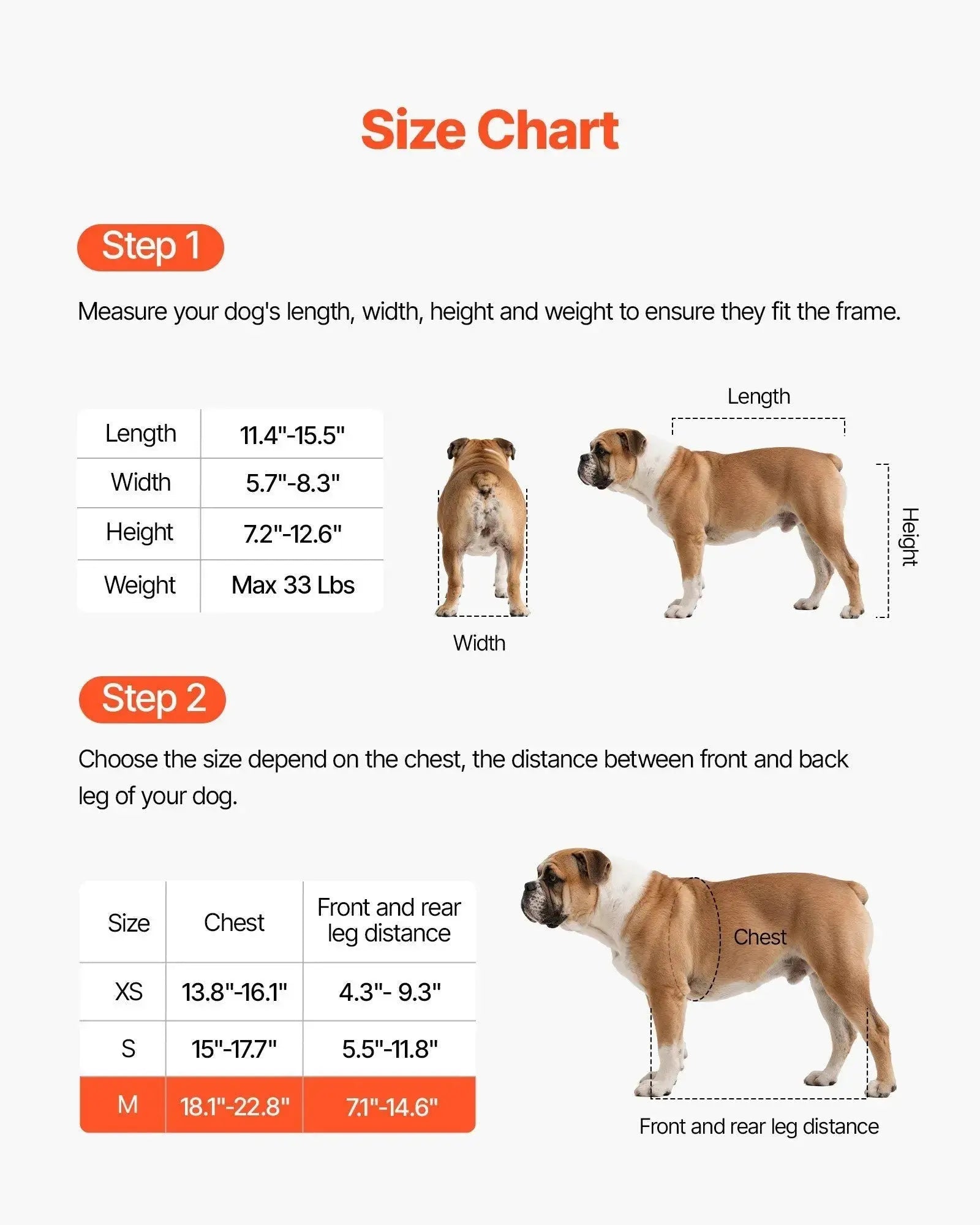 bit 0 bling pet products