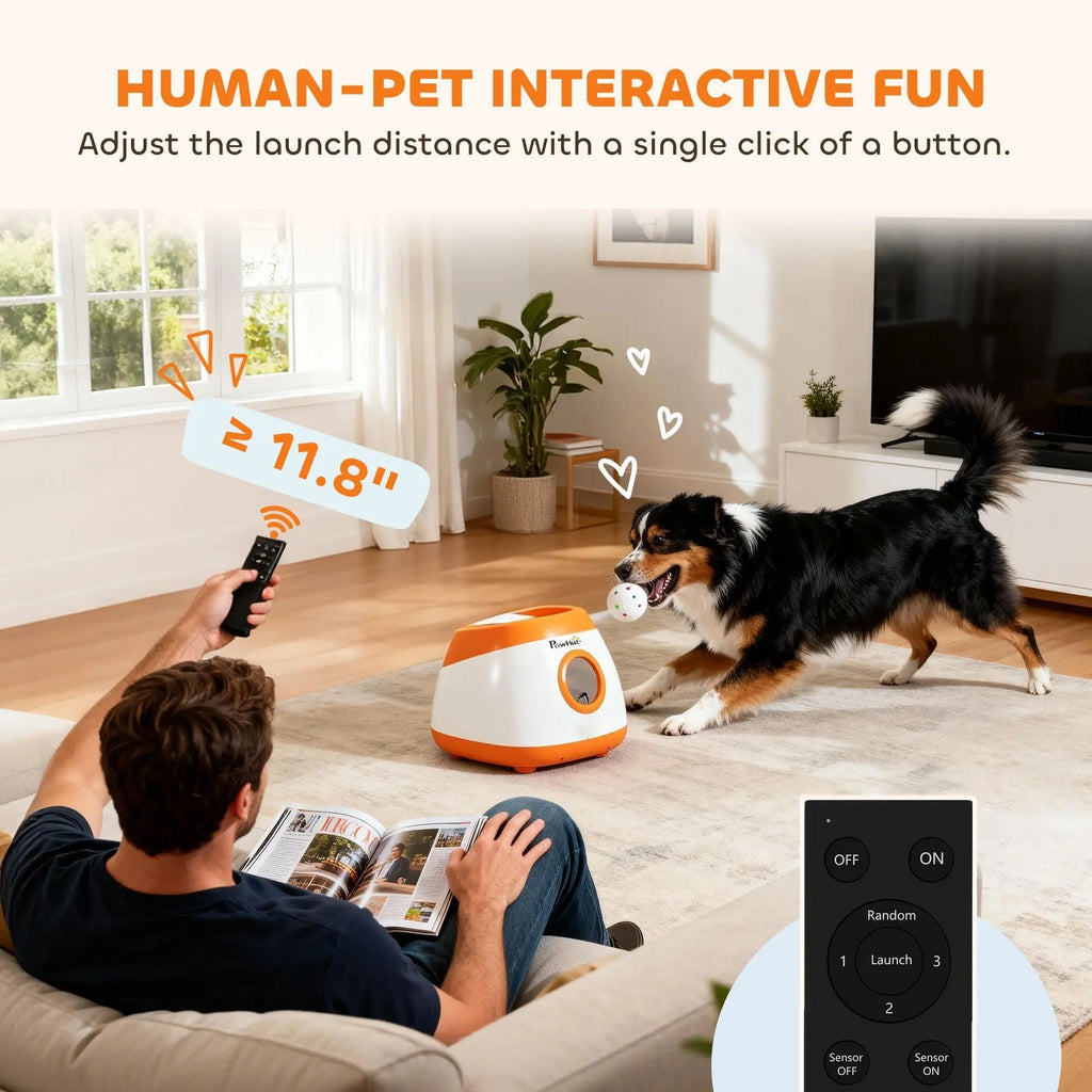 bit 0 bling pet products